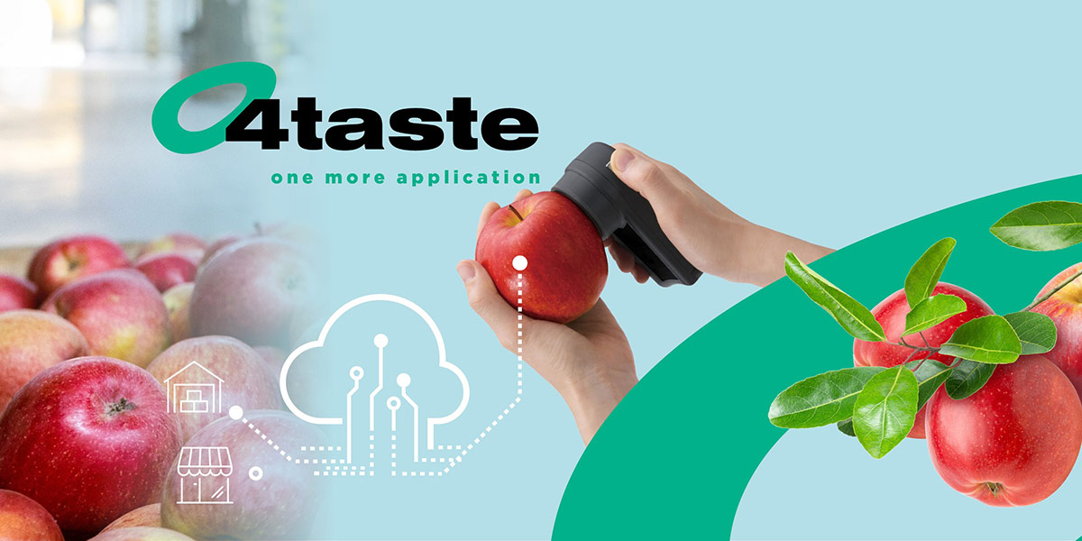 4Taste, la soluzione digitale "legge" l'ortofrutta